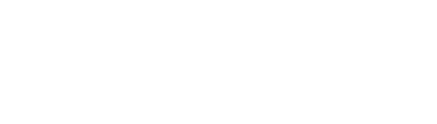 Vestian New Logo Website white